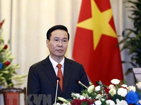 Presidente Vo Van Thuong (Foto: VNA)