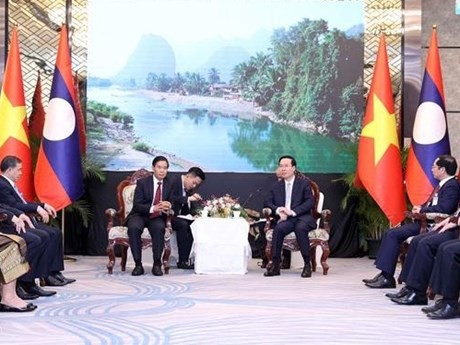 El presidente de Vietnam, Vo Van Thuong, recibe al titular del Comité Central del Frente para la Construcción Nacional de Laos, Sinlavong Khoutphaythoune (Foto: VNA)