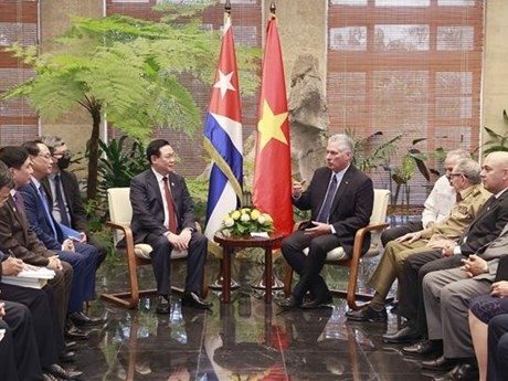 El presidente de la Asamblea Nacional de Vietnam, Vuong Dinh Hue, dialoga con el primer secretario del Comité Central del Partido Comunista y presidente de Cuba, Miguel Díaz-Canel (Foto: VNA)