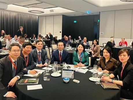 La delegación de la Auditoría Estatal de Vietnam (Foto: VNA)