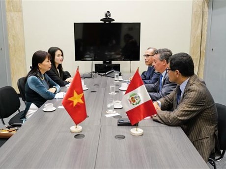 En la sesión de trabajo entre la embajadora Pham Thi Kim Hoa y el Ministerio de Relaciones Exteriores de Perú (Fuente: VNA)