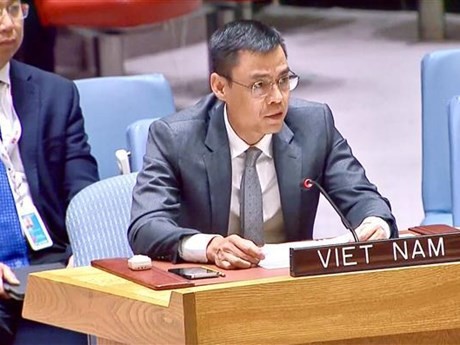 El embajador Dang Hoang Giang, jefe de la misión permanente vietnamita ante la ONU, (Fuente:VNA)