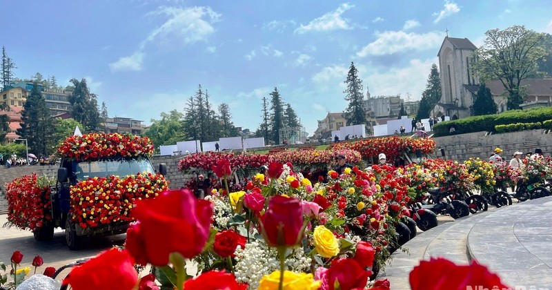 Sapa inaugura el mayor festival de rosas del noroeste