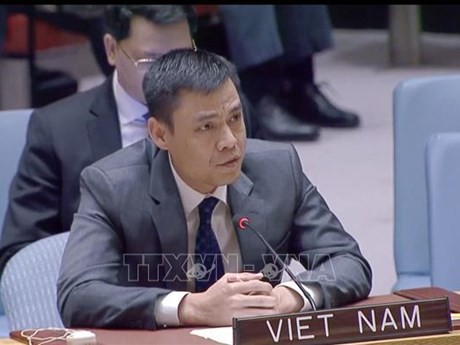 El embajador Dang Hoang Giang, jefe de la misión permanente de Vietnam del Sudeste Asiático ante las Naciones Unidas, en la sesión (Fuente: VNA)