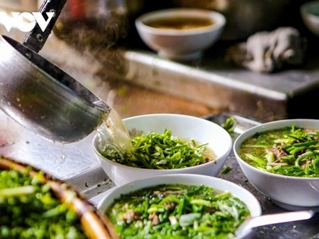 Pho Hanói, sopa representativa de la gastronomía de la capital vietnamita. (Foto: VOV)
