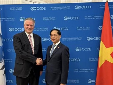 El ministro de Relaciones Exteriores de Vietnam, Bui Thanh Son, y el secretario general de la Organización para la Cooperación y el Desarrollo Económicos (OCDE), Mathias Cormann. (Foto: VNA)