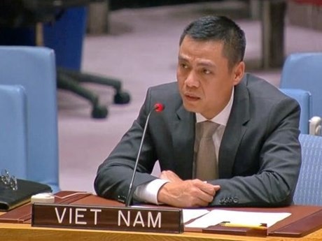 El embajador Dang Hoang Giang, jefe de la misión permanente de Vietnam ante las Naciones Unidas, interviene en la sesión de debate abierta con el tema “Cambio climático, paz y seguridad” del Consejo de Seguridad de la ONU (Fuente: VNA)