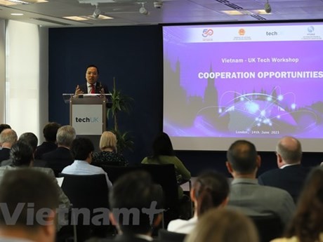El embajador vietnamita en el Reino Unido, Nguyen Hoang Long, interviene en el evento (Fuente:VNA)
