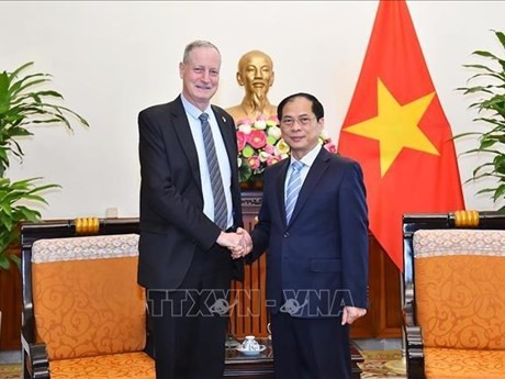 El ministro de Relaciones Exteriores de Vietnam, Bui Thanh Son (derecha), recibe al embajador israelí en este país indochino, Yaron Mayer. (Foto: VNA)