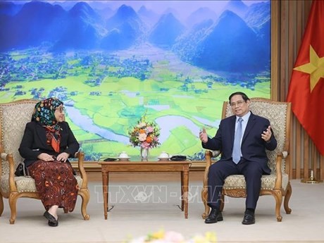 El primer ministro de Vietnam, Pham Minh Chinh, conversa con la nueva embajadora de Brunei en el país, Datin Paduka Malai Hajah Halimah Malai Haji Yussof. (Foto: VNA)