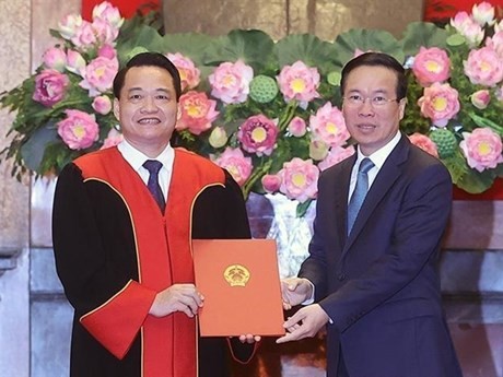 El presidente vietnamita, Vo Van Thuong, entregó la decisión de nombrar a Nguyen Hong Nam, juez principal y vicepresidente del Tribunal Popular Superior de Hanoi como juez del Tribunal Popular Supremo (Fuente: VNA)