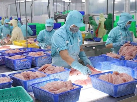 El marisco es uno de los principales productos exportables de Vietnam a la Unión Europea (Fuente: VNA)