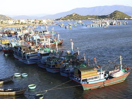 Barcos de pescadores de Ninh Thuan (Fuente:VNA)