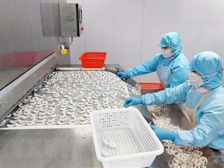 La producción de camarones congelados de acuerdo con los estándares internacionales de exportación en la Compañía de productos acuáticos BNA en la provincia de Quang Ninh (Fuente: VNA)