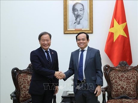 El viceprimer ministro vietnamita Tran Luu Quang (derecha) recibe a Yamada Junichi, vicepresidente ejecutivo senior de JICA (Foto: VNA)