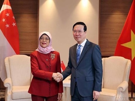 El presidente vietnamita Vo Van Thuong y la presidenta singapurense Halimah Yacob (Fuente: VNA)