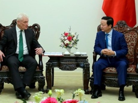 Vietnam y EAU intercambian cartas de felicitaciones