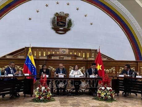 En la reunión con representantes del Ministerio del Poder Popular para los Pueblos Indígenas de Venezuela (Foto: VNA)