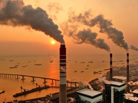 Vietnam impulsa el desarrollo del mercado de carbono