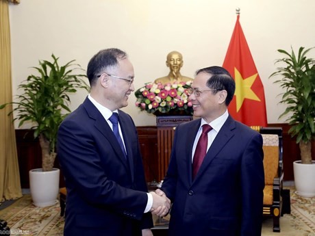 El canciller de Vietnam, Bui Thanh Son, recibe al asistente del Ministro de Relaciones Exteriores de China , Nong Rong. (Foto: VNA)