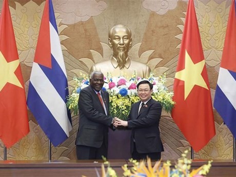 El presidente de la Asamblea Nacional de Vietnam, Vuong Dinh Hue, y su homólogo cubano Esteban Lazo Hernández (Fuente: VNA)
