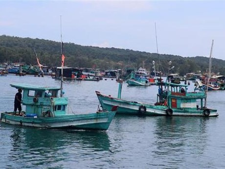 Barcos pesqueros en las aguas de An Thoi, ciudad de Phu Quoc (Kien Giang). (Foto: VNA)
