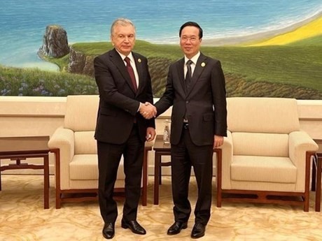 El presidente de Vietnam, Vo Van Thuong, y su homólogo de Uzbekistán, Shavkat Mirziyoyev (Foto: VNA)