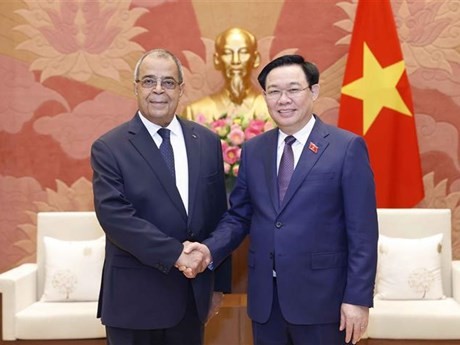 El presidente de la Asamblea Nacional de Vietnam, Vuong Dinh Hue, recibió a Ali Aoun, ministro de Industria y Producción Farmacéutica de Argelia (Fuente:VNA)