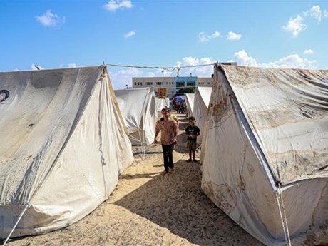 Campamento de refugiados por el conflicto en la Franja de Gaza. (Foto: Xinhua/ VNA)