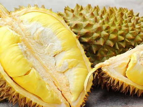 A los consumidores chinos les encanta el durián vietnamita (Fuente:VNA)