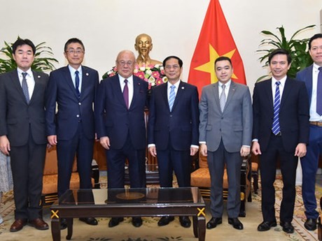 El ministro vietnamita de Relaciones Exteriores, Bui Thanh Son, recibe al asesor de la Alianza Parlamentaria de Amistad Japón-Vietnam, Takebe Tsutomu. (Foto: Cancillería)