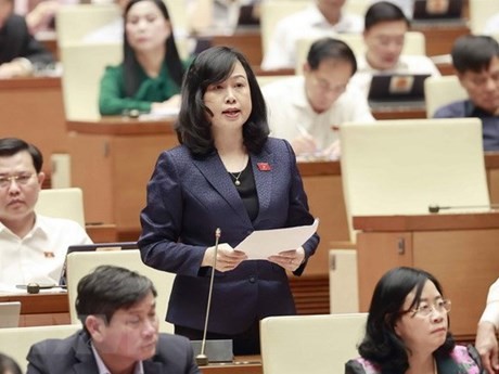 La ministra de Salud, Dao Hong Lan, en la sesión (Foto: VNA)
