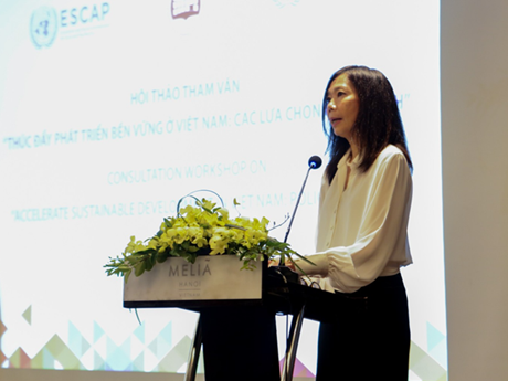 La coordinadora residente de la ONU en Vietnam, Pauline Tamesis, durante la conferencia de consulta en Hanói (Foto: VNA) 