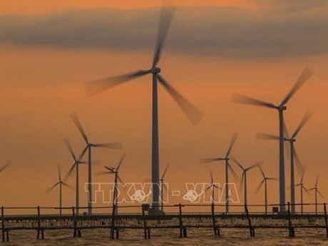 Planta de energía eólica de Bac Lieu (Foto: VNA)