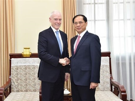 El ministro de Relaciones Exteriores de Vietnam, Bui Thanh Son, recibe al viceministro de Asuntos Globales de Canadá, David Morrison. (Fuente: VNA)