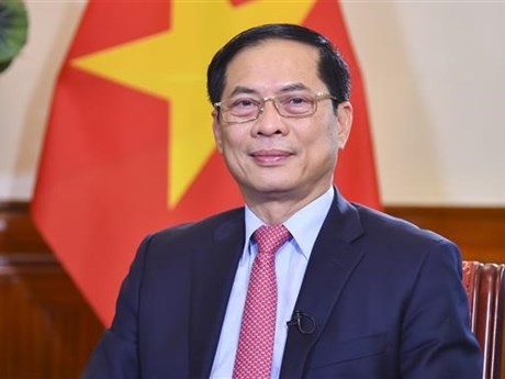El ministro de Relaciones Exteriores de Vietnam, Bui Thanh Son. (Foto: VNA)