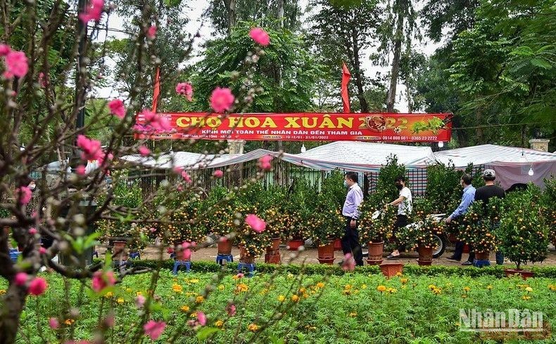 Festival de Primavera 2024 se inaugurará en Hanói 
