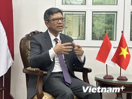 El embajador de Indonesia en Vietnam, Denny Abdi. (Foto: VNA)