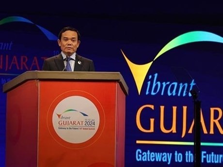 El viceprimer ministro de Vietnam Tran Luu Quang interviene en la cita (Foto: VNA)