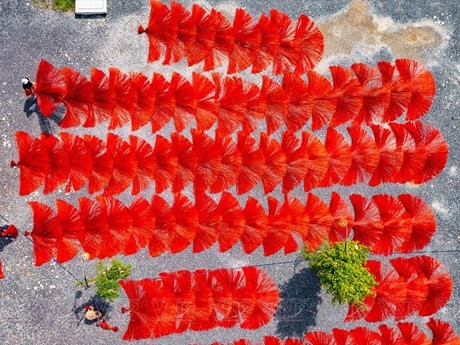 Aldea de tejeduría de esteras en Vietnam 