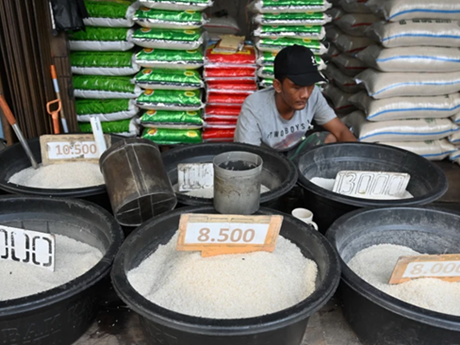Indonesia garantiza suficiente suministro de alimentos durante el mes del Ramadán (Fuente: AFP/VNA)