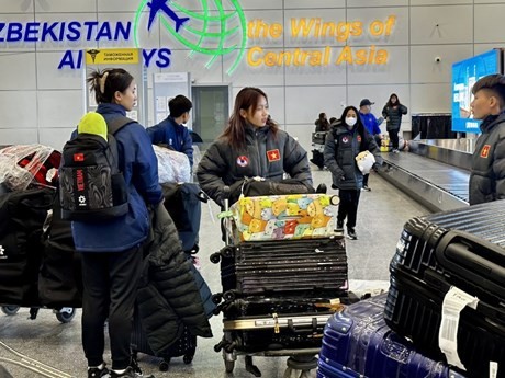 La selección vietnamita llega al Aeropuerto Internacional de Tashkent (Foto: vff.org.vn)