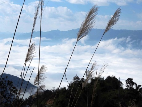 Lai Chau: lugar de 'caza de nubes' hermoso en Vietnam