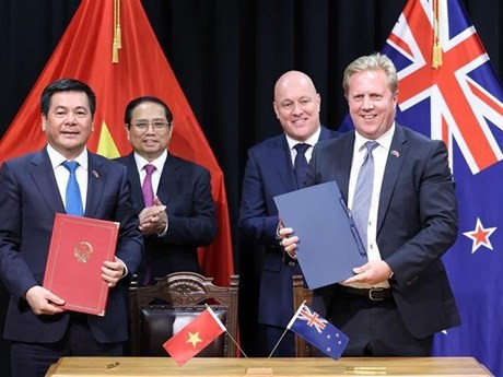 El primer ministro de Vietnam, Pham Minh Chinh, y su homólogo neozelandés, Christopher Luxon, presencian la firma de acuerdos de cooperación. (Fuente: VNA)