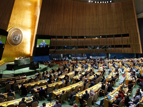 En una reunión de la Asamblea General de ONU (Fuente: AFP/VNA)
