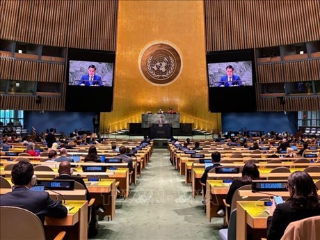 En la sesión de trabajo de la Asamblea General de las Naciones Unidas (Fuente: VNA) 