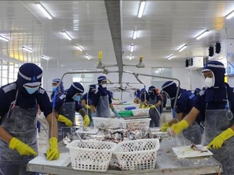 En una fábrica de An Giang (Foto: VNA) 