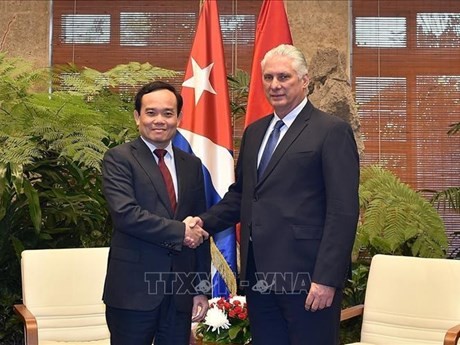 El viceprimer ministro de Vietnam Tran Luu Quang (izquierda) se reúne con el primer secretario del Comité Central del Partido Comunista y presidente de Cuba, Miguel Díaz-Canel. (Foto: VNA)