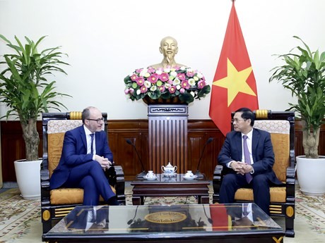El ministro de Relaciones Exteriores de Vietnam, Bui Thanh Son (derecha), dialoga con Diego Martínez Belío, secretario de Estado de Asuntos Exteriores y Globales de España. (Foto: VNA)