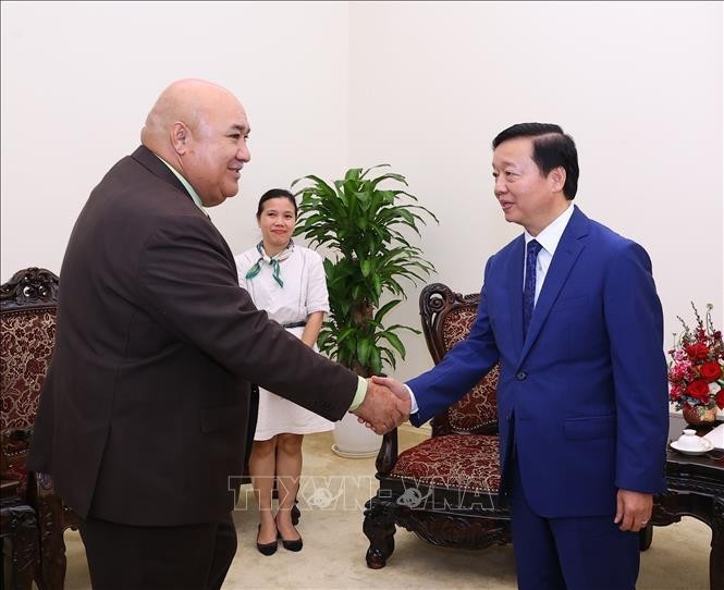 El director regional de la OMS para el Pacífico Occidental, Saia Ma'u Piukala, y el viceprimer ministro de Vietnam Tran Hong Ha. (Fotografía: VNA)